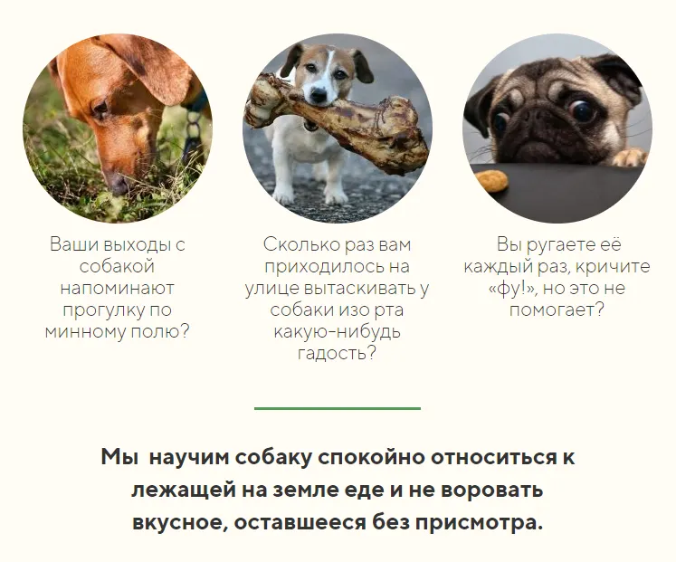 Скачать курс «[kinologschool] Помойка: Как отучить собаку подбирать еду на улице (Антонина Зимарева)» — слив курса