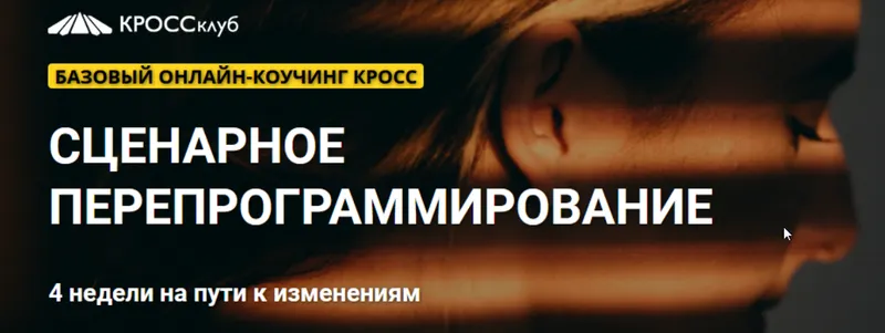Скачать курс «Сценарное перепрограммирование (Борис Литвак)» — слив курса