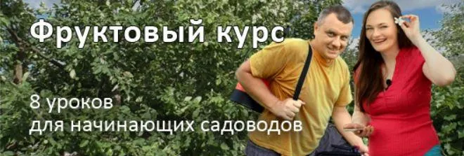 Скачать курс «[Дачный агроном] Фруктовый курс  (Вячеслав Грисюк, Юлия Петровна)» — слив курса