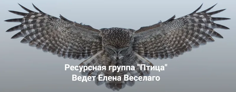 Скачать курс «[Институт Открытого Поля] Ресурсная группа Птица (Елена Веселаго)» — слив курса