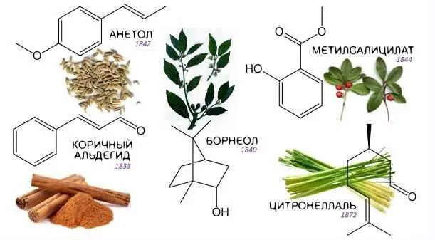 Скачать курс «[Астарта] Химия эфирных масел (Анна Семенова)» — слив курса