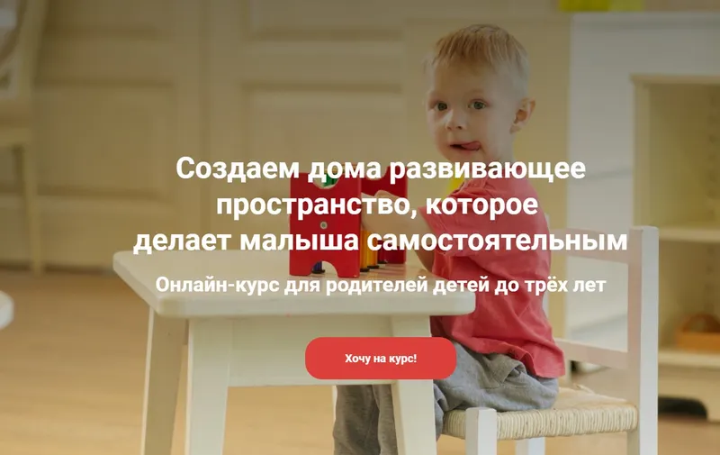 Скачать курс «[Монтессори.Дети] Развитие ребенка от 1 до 3 лет (Патрисия Волнер)» — слив курса