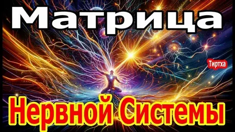 Скачать курс «Матрицы Гаряева. №2-3 Коррекция нарушений нервной системы (Петр Гаряев)» — слив курса