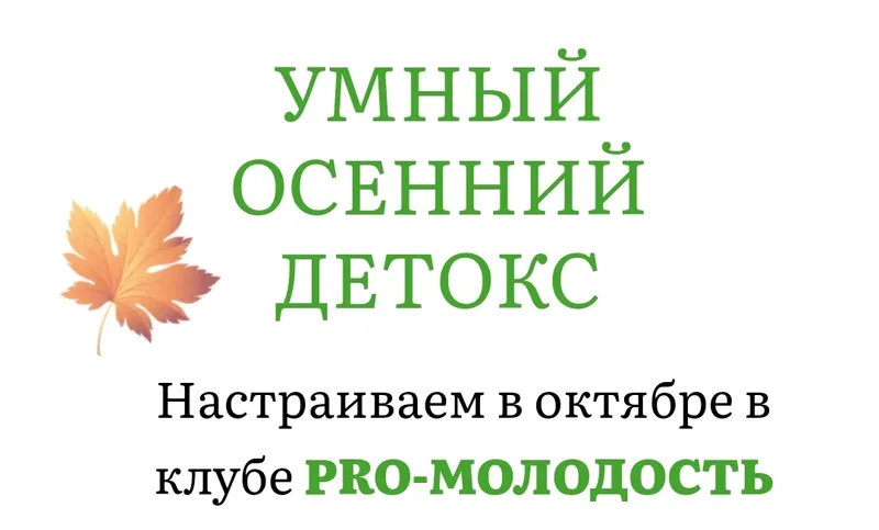 Скачать курс «Умный осенний детокс. Клуб Pro-Молодость (Наталья Баньяц)» — слив курса