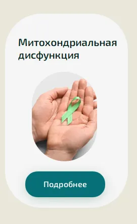 Скачать курс «[Академия PRO-Здоровье] Митохондриальная дисфункция (Ксения Черная)» — слив курса