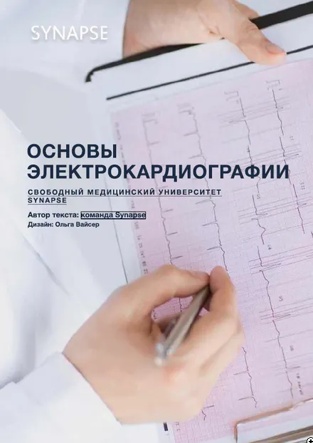 Скачать курс «[Synapse] Методичка по ЭКГ» — слив курса