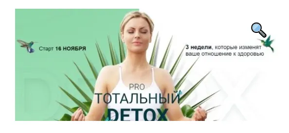 Скачать курс «Pro тотальный detox. Ноябрь 2020 (Диляра Лебедева)» — слив курса