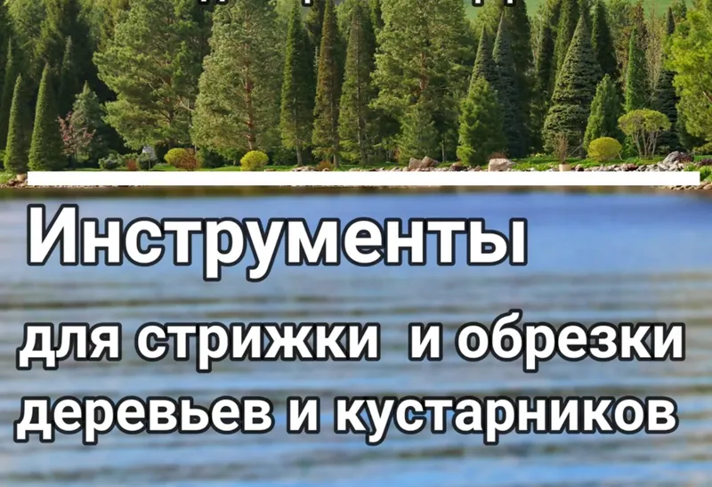 Скачать курс «Инструменты для стрижки и обрезки деревьев и кустарников (Владимир Ляпчев)» — слив курса