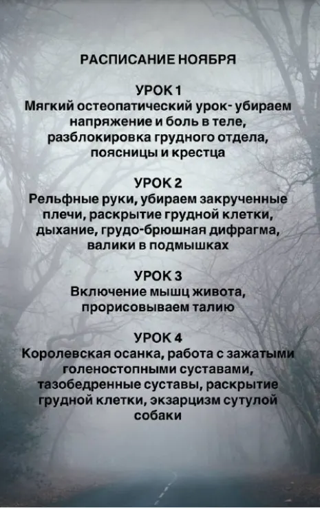 Скачать курс «Клуб. Ноябрь 2025 (Ксения Часнык)» — слив курса