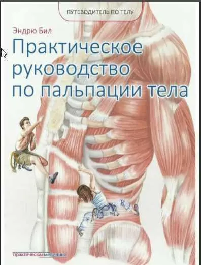 Скачать курс «Путеводитель по телу. Практическое руководство по пальпации тела (Эндрю Бил)» — слив курса