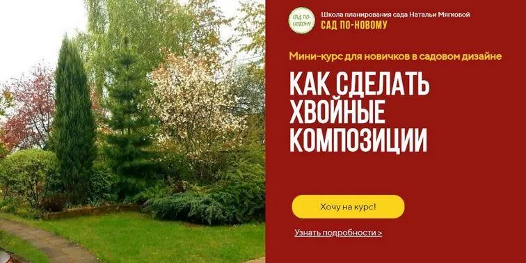 Скачать курс «Мини-курс для новичков в садовом дизайне. Как сделать хвойные композиции (Наталья Мягкова)» — слив курса