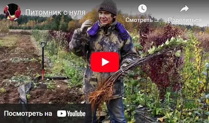 Скачать курс «Питомник с нуля. Обновленная версия (Евгений Федотов)» — слив курса