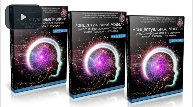 Скачать курс «Кураторы. Информатории (Вячеслав Губанов)» — слив курса