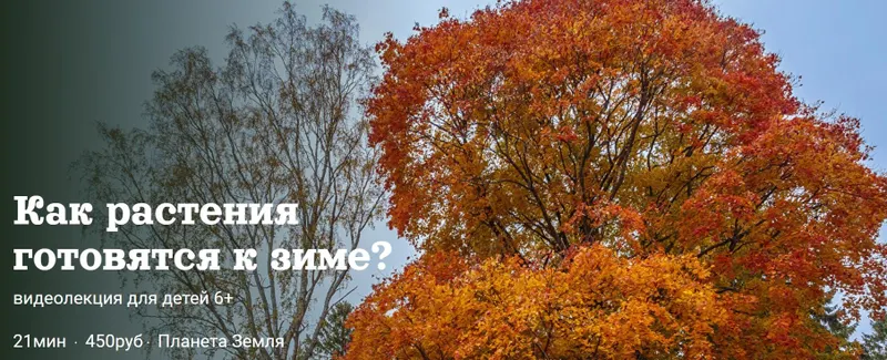 Скачать курс «[Детский лекторий] Как растения готовятся к зиме? (Александр Толмачев)» — слив курса