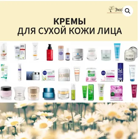 Скачать курс «[Магазин ЭкоТестов] Кремы для сухой кожи (Алена Эко)» — слив курса