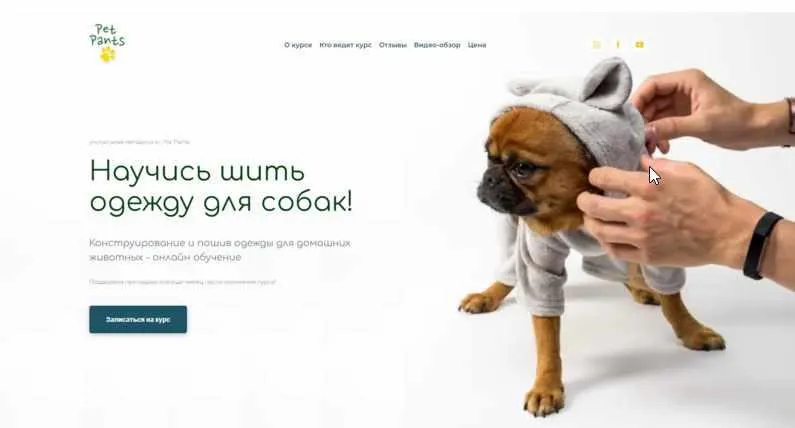 Скачать курс «Конструирование и пошив одежды для домашних животных (Антонина Баранова)» — слив курса