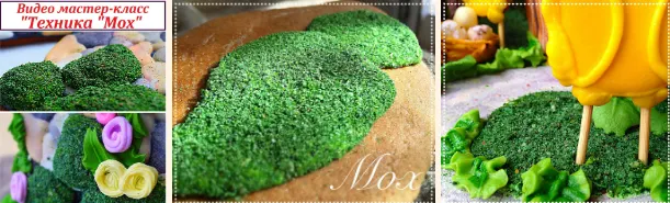 Обложка курса «[Gift Cookies] Техника мох (Николай Гагарин, Артем Валентинов)»