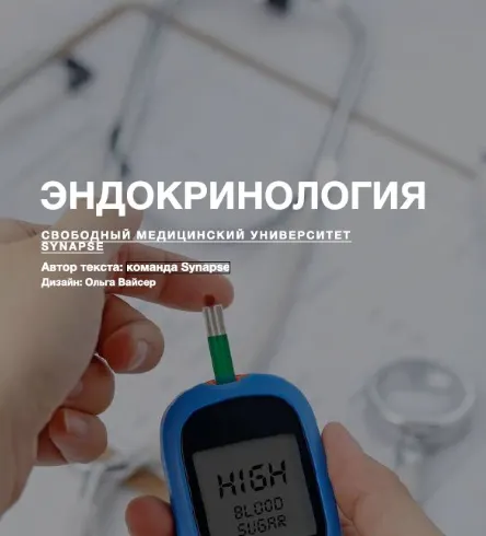 Скачать курс «[Synapse] Учебник по эндокринологии. Методичка» — слив курса