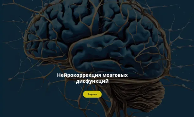 Обложка курса «Нейрокоррекция мозговых дисфункций. Январь 2025 (Салима Саиди)»