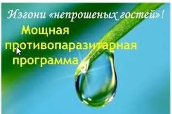 Скачать курс «Изгони непрошеных гостей. Мощная противопаразитарная программа (Ирина Дудник)» — слив курса