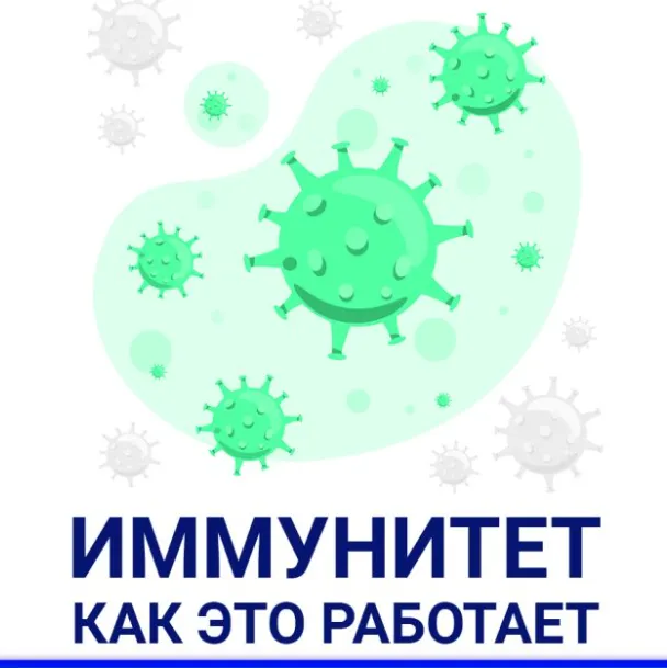 Скачать курс «[Nativalife] Иммунитет: как это работает. Биологика. Физиология (Виктория Самира)» — слив курса