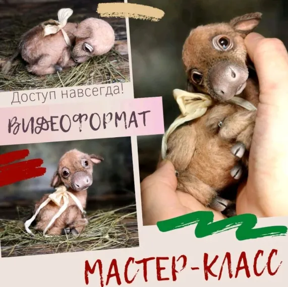 Скачать курс «Подвижный Теленок (Наталья Шумейко)» — слив курса