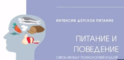 Скачать курс «Интенсив детское питание (Тамилла Амирова)» — слив курса