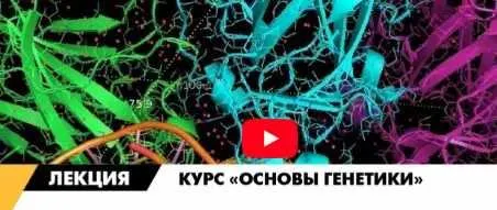 Скачать курс «[Архэ] Основы генетики. Полный курс (Андрей Синюшин)» — слив курса