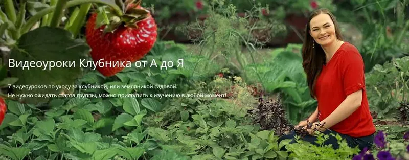 Скачать курс «[Дачный агроном] Видеоуроки Клубника от А до Я» — слив курса