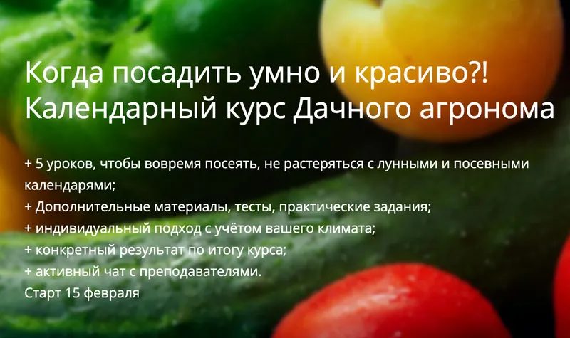Скачать курс «[Дачный агроном] Когда посадить умно и красиво?! Календарный курс» — слив курса