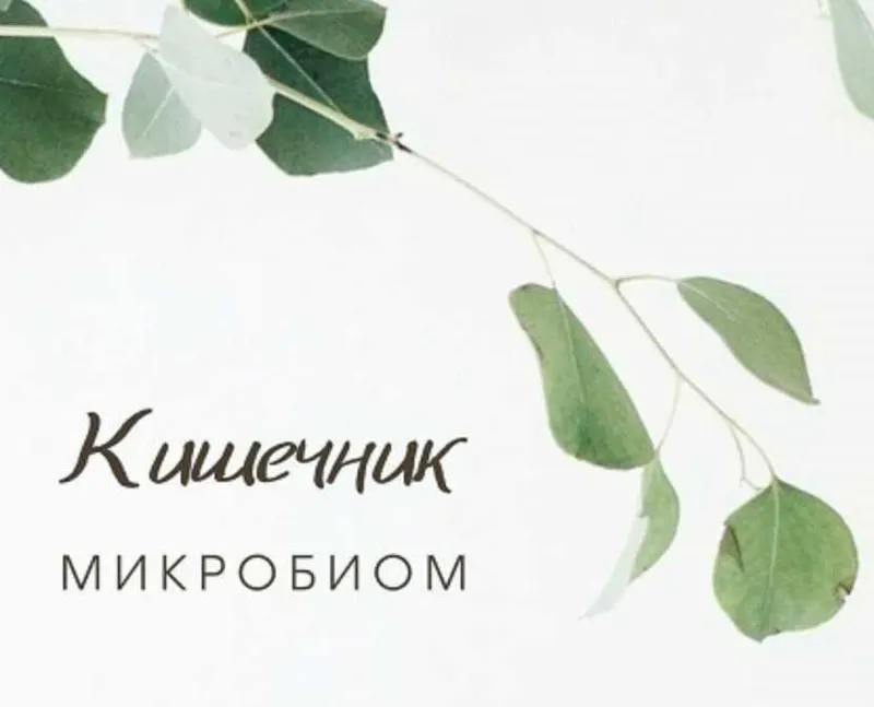 Скачать курс «Гид по микробиоте: дисбактериоз, питание, пробиотики (Анастасия Родионова)» — слив курса