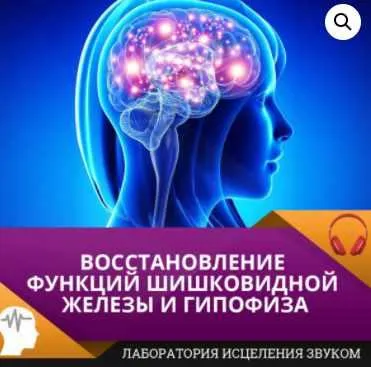 Скачать курс «[Лаборатория исцеления звуком] Восстановление функций шишковидной железы и гипофиза» — слив курса