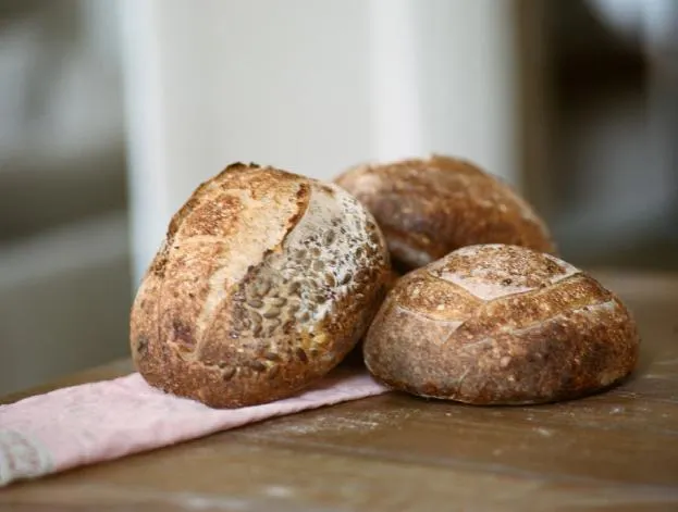 Скачать курс «[Oh my Bread] Формула Тартин (Анна Кучкина)» — слив курса