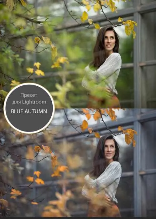 Скачать курс «Пресет Blue Autumn (Анна Мельникова)» — слив курса