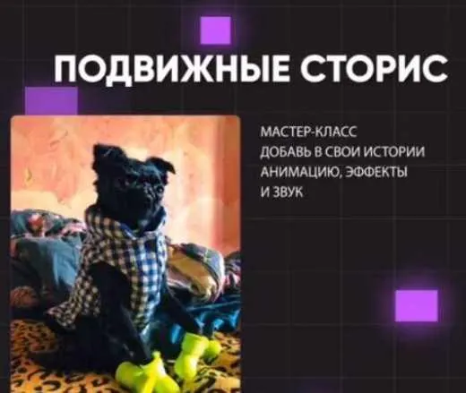 Скачать курс «[stories_mks] Мастер-класс по анимированным сторис» — слив курса